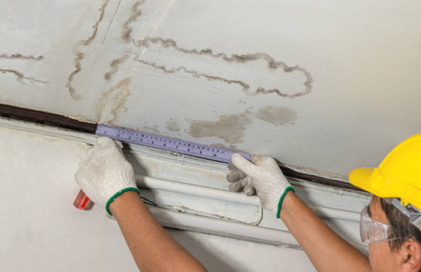 Reliable Structural Drying contractor in Arcadia, MI by Water Damage Irwin